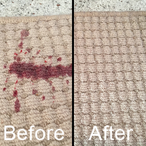 carpet stain removal perth
