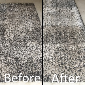  rug cleaning