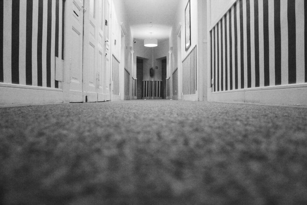 How Professional Carpet Cleaning Extends the Life of Your Carpets in Perth