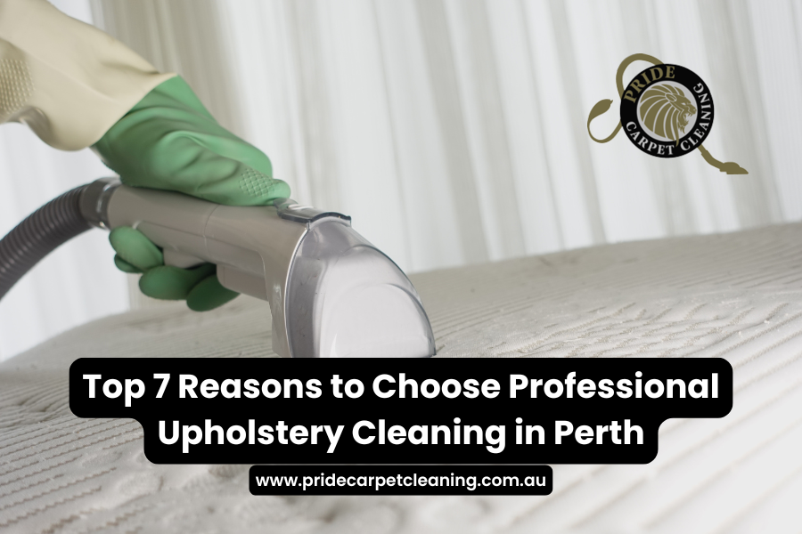 Top 7 Reasons to Choose Professional Upholstery Cleaning in Perth