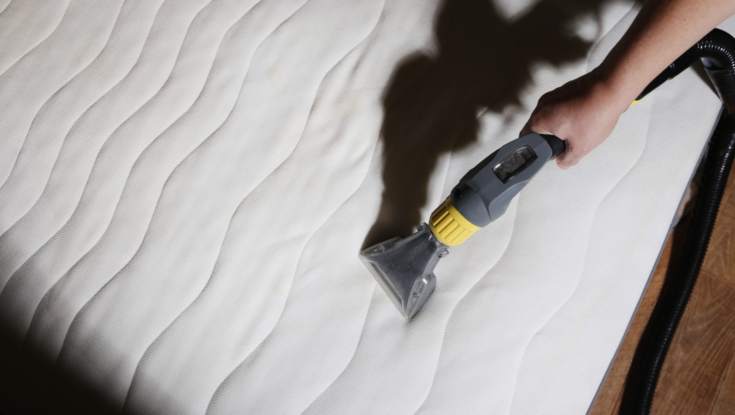 Mattress being deep vacuumed to remove dust mites and allergens