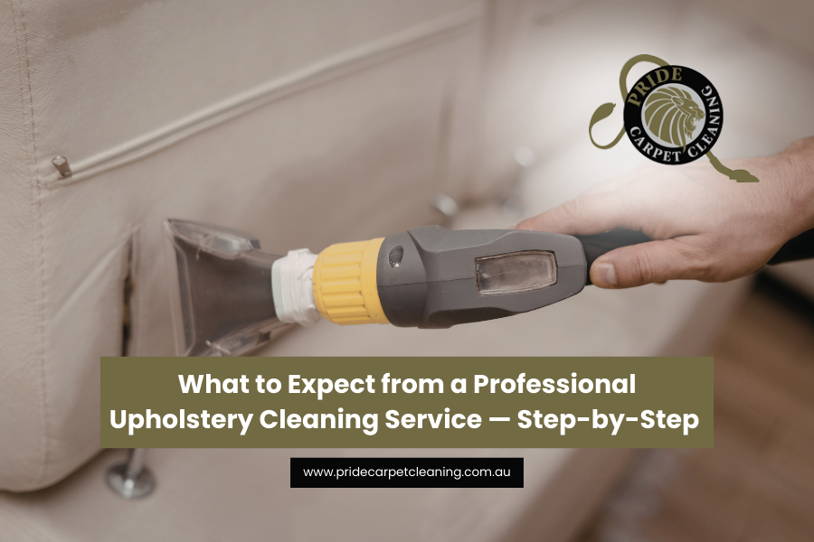 What to Expect from a Professional Upholstery Cleaning Service — Step-by-Step