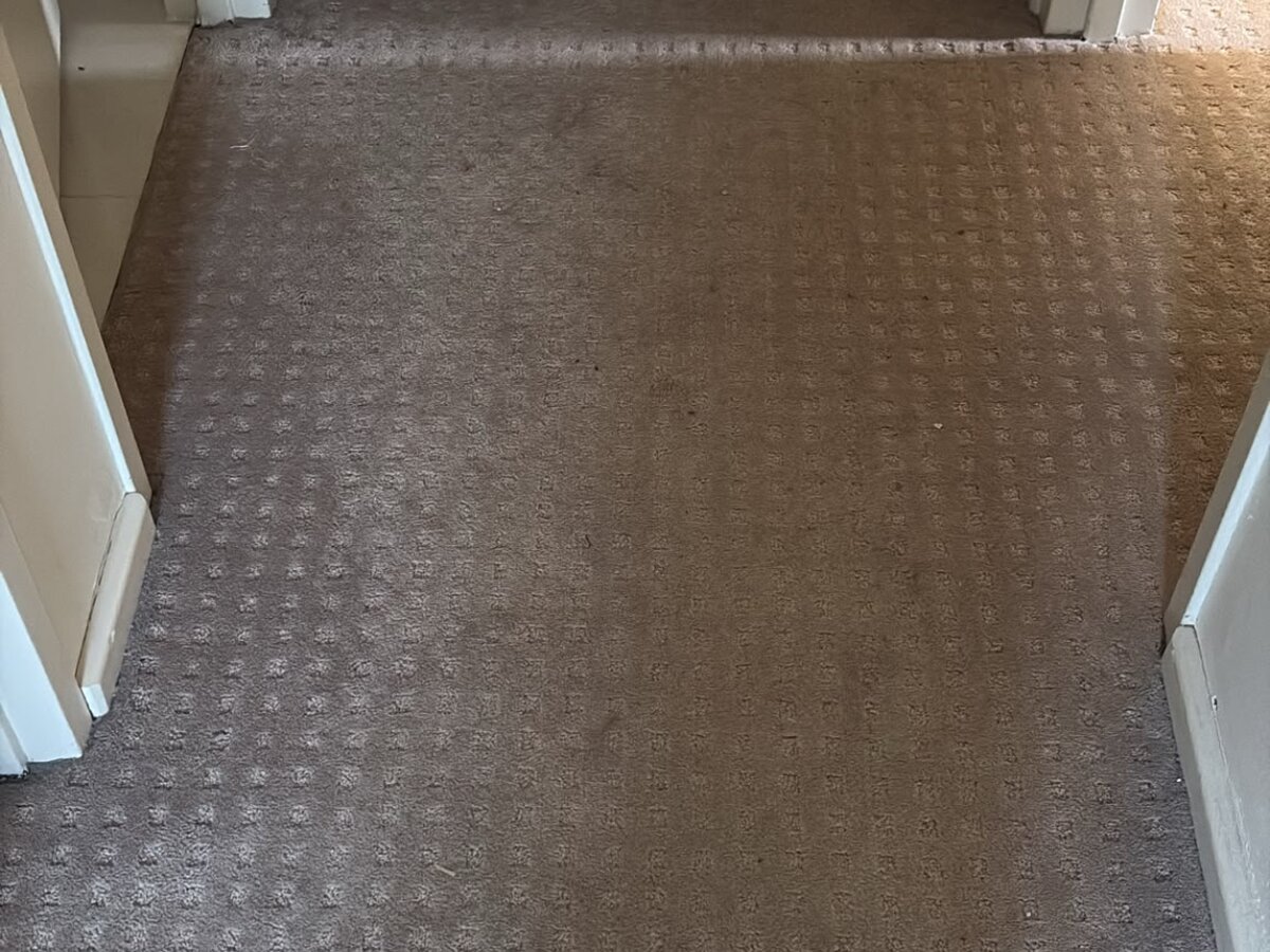 Carpet Cleaning in Perth