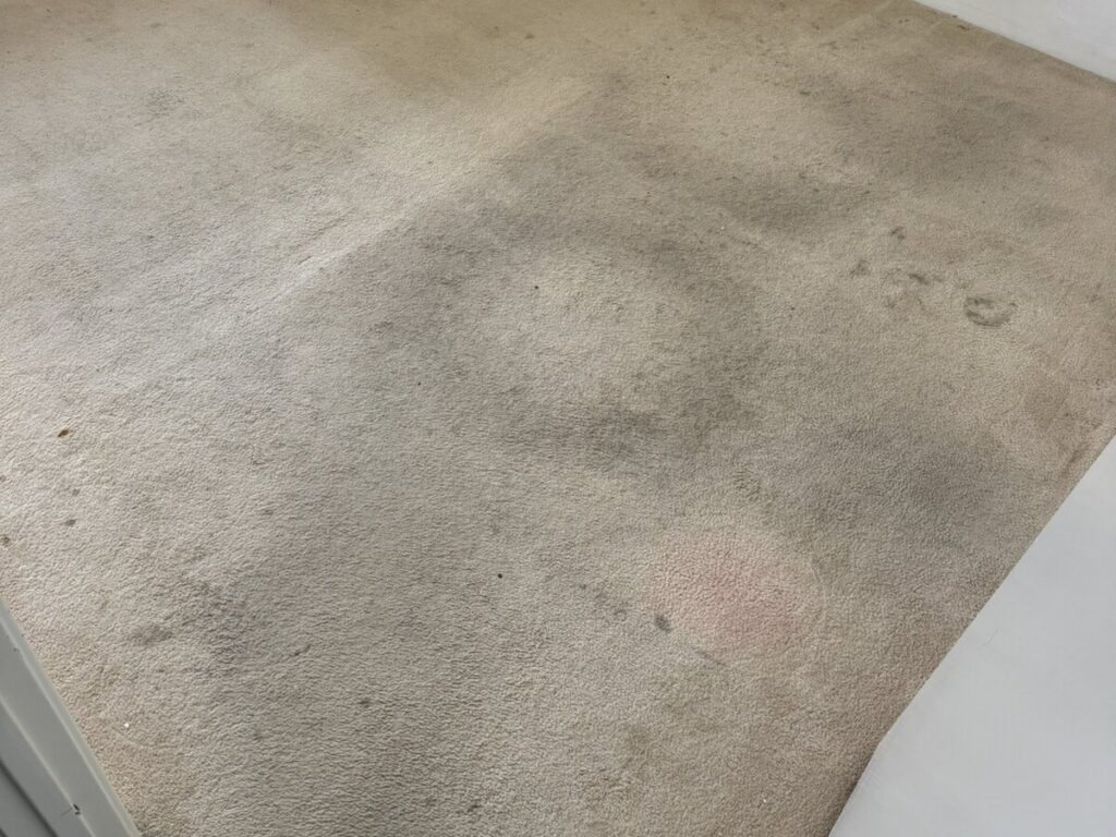 Carpet Stain Removal