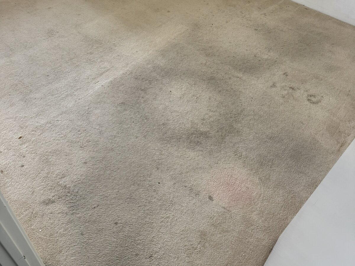 Carpet Stain Removal in Perth