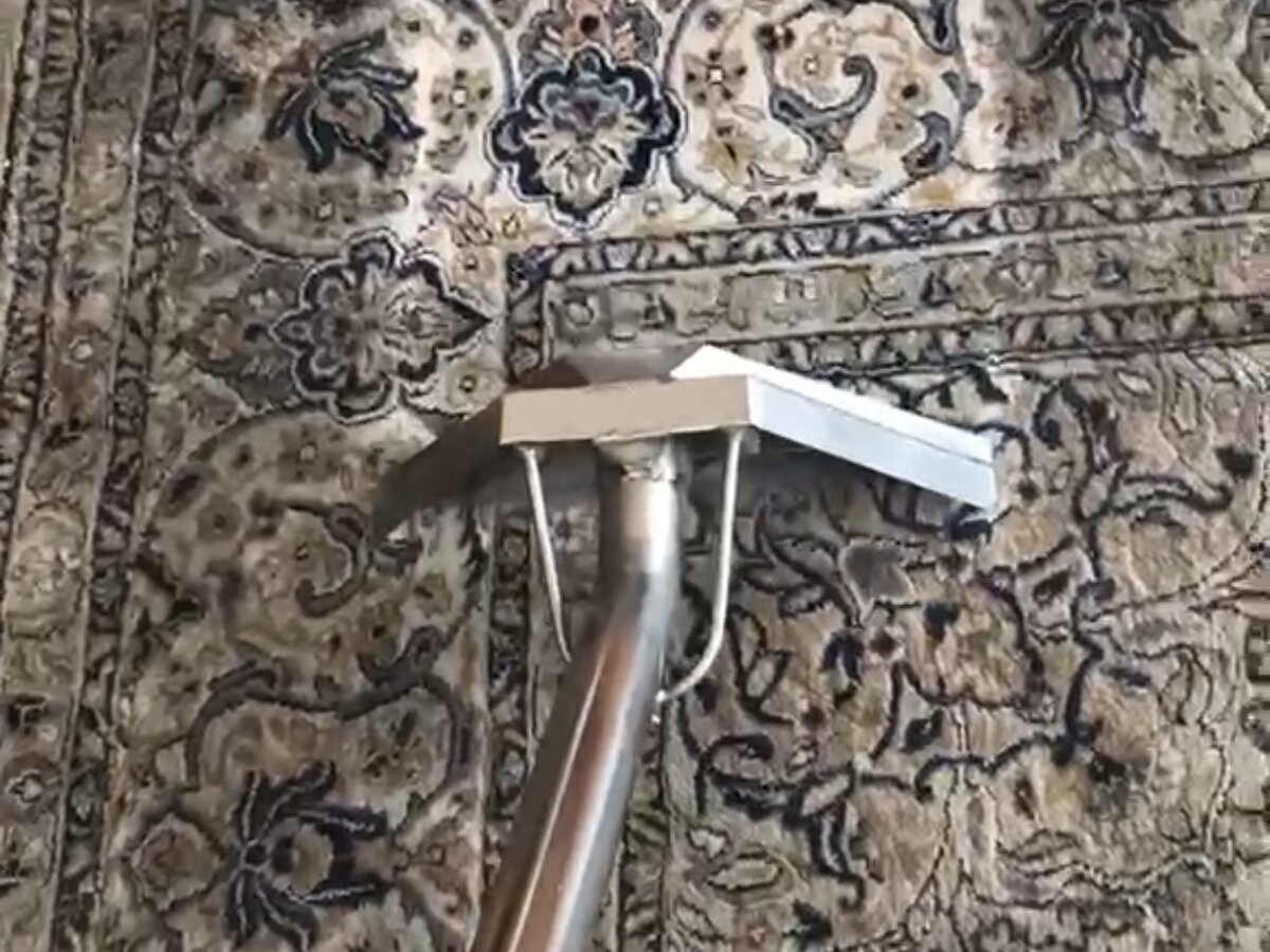 Common Stains Professional Carpet Cleaners Remove